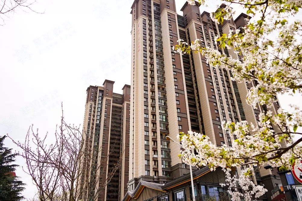 青岛香江瑞城