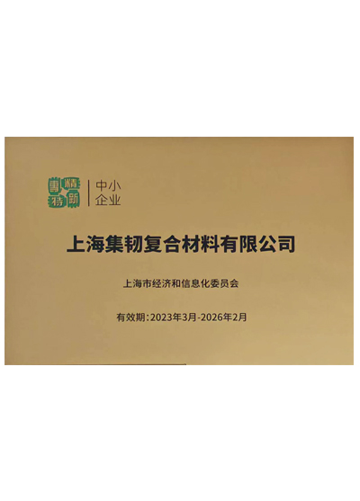 上海市专精特新企业